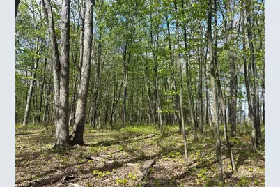 Lot 3 & 4 Killarney Road, Springfield Township, PA 15464 - Photo 19