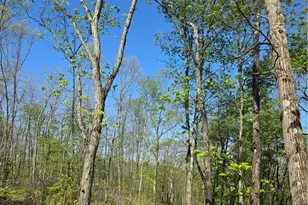 2210 Ramer Rd, Plumcreek Township, PA 15774 - Photo 1
