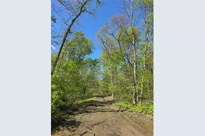 2210 Ramer Rd, Plumcreek Township, PA 15774 - Photo 5