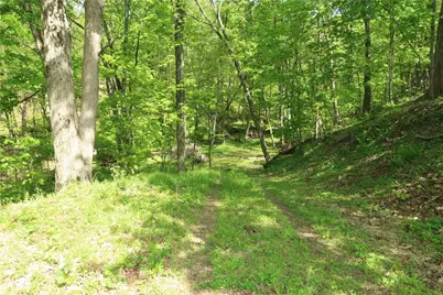 388 Bortz Road, Loyalhanna, PA 15681 - Photo 47