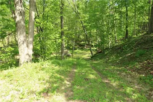 388 Bortz Rd, Loyalhanna, PA 15681 - Photo 47
