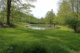 388 Bortz Rd, Loyalhanna, PA 15681 - Photo 43