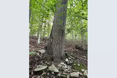 0 Matson Rd, Ligonier Township, PA 15658 - Photo 27
