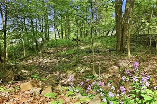 2951 Hann Hill Rd, Hermitage, PA 16148 - Photo 23