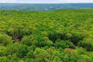 275 Aspen Mountain Rd, Jenner Township, PA 15531 - Photo 49