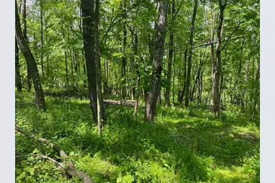 Lot Wexford Bayne Road, Marshall, PA 15090 - Photo 3