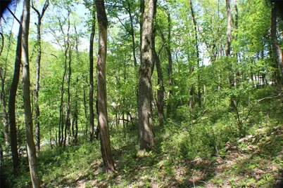 Lot Wexford Bayne Road, Marshall, PA 15090 - Photo 13