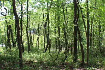Lot Wexford Bayne Road, Marshall, PA 15090 - Photo 21