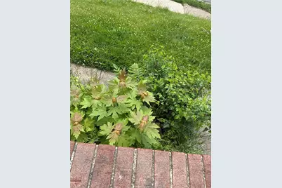 2509 Grandview Ave, Duquesne, PA 15132 - Photo 7