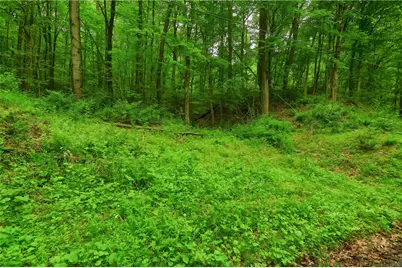 218 Collins Rd, North Sewickley Township, PA 16117 - Photo 7