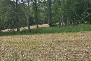 0 Smith Rd, Jefferson Township, PA 16002 - Photo 1
