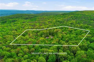 288 Ft Dewart Ln, Allegheny Township, PA 15926 - Photo 13
