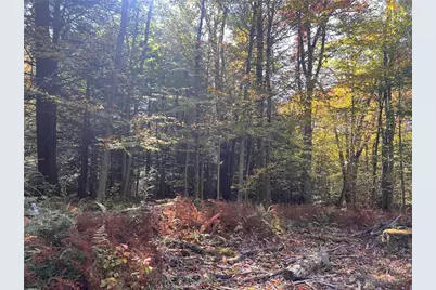 50 Acres Along Bird Lane, Pine Township-Hellwood, PA 15957 - Photo 17