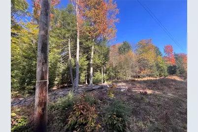 50 Acres Along Bird Lane, Pine Township-Hellwood, PA 15957 - Photo 23