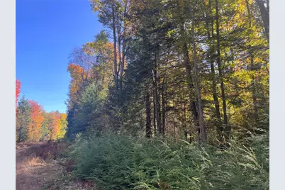 50 Acres Along Bird Lane, Pine Township-Hellwood, PA 15957 - Photo 19