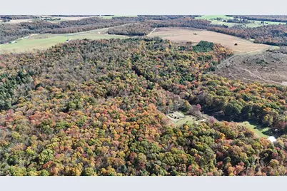 50 Acres Along Bird Lane, Pine Township-Hellwood, PA 15957 - Photo 3