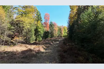 50 Acres Along Bird Lane, Pine Township-Hellwood, PA 15957 - Photo 13