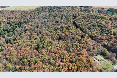 50 Acres Along Bird Lane, Pine Township-Hellwood, PA 15957 - Photo 11