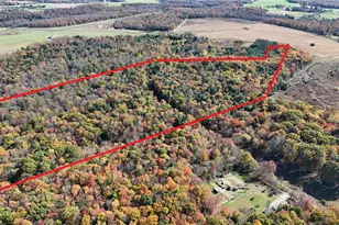 50 Acres Along Bird Ln, Pine Township-Hellwood, PA 15957 - Photo 1