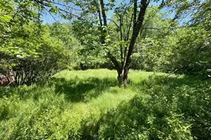 1611 Crawford Rd, Imperial, PA 15126 - Photo 31