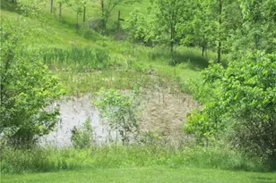 141 Woodies Rd, Washingtn-Ruff Creek, PA 15370 - Photo 11