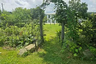 107 Grove Ave, Chicora Boro, PA 16025 - Photo 37