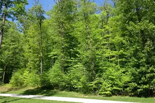 Lot 28 Grouse Point, Seven Springs, PA 15622 - Photo 1