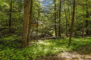 605 Laurel Falls Rd, Elk Lick Township, PA 15552 - Photo 3