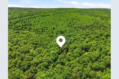 605 Laurel Falls Road, Elk Lick Township, PA 15552 - Photo 43