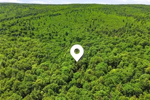 605 Laurel Falls Rd, Elk Lick Township, PA 15552 - Photo 43