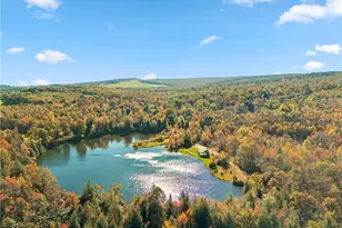 605 Laurel Falls Rd, Elk Lick Township, PA 15552 - Photo 45