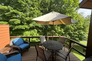 3006 Swiss Mountain Dr, Seven Springs, PA 15622 - Photo 25