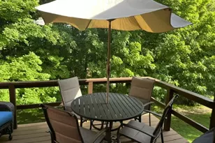 3006 Swiss Mountain Dr, Seven Springs, PA 15622 - Photo 23