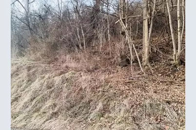 000 Virginia Ave, Midland Boro, PA 15059 - Photo 3