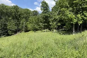 Lots 206 and 208 Old Woods Dr, Peters Township, PA 15317 - Photo 1