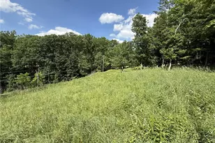 Lots 206 and 208 Old Woods Dr, Peters Township, PA 15317 - Photo 5
