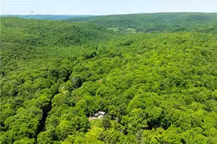 120 New Beaver Creek Rd, Henry Clay Township, PA 15459 - Photo 21
