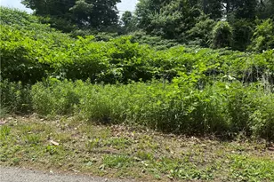 Lot #3 Laurel Hill Dr, West Homestead, PA 15120 - Photo 1