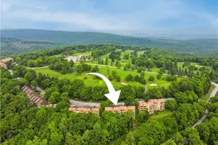 2D2 Mountain Villas, Seven Springs, PA 15622 - Photo 29