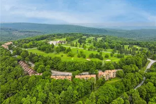 2D2 Mountain Villas, Seven Springs, PA 15622 - Photo 31