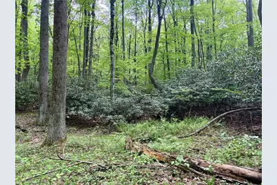 Lot 1C Cottonwood Rd, Bullskin Township, PA 15610 - Photo 9