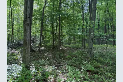 Lot 1C Cottonwood Rd, Bullskin Township, PA 15610 - Photo 11
