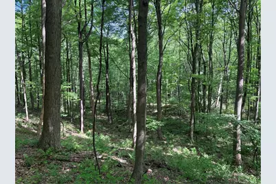 Lot 1C Cottonwood Rd, Bullskin Township, PA 15610 - Photo 5