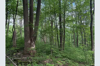 Lot 1C Cottonwood Rd, Bullskin Township, PA 15610 - Photo 3