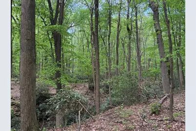 Lot 1C Cottonwood Rd, Bullskin Township, PA 15610 - Photo 23