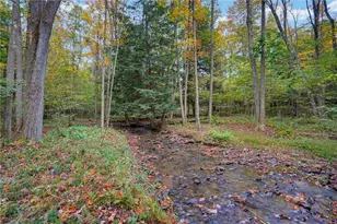 132 Hemlock Ln, E Mahoning/Marion Ctr, PA 15771 - Photo 37
