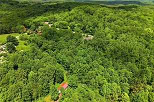 567 E Portersville Rd, Muddy Creek Township, PA 16051 - Photo 45