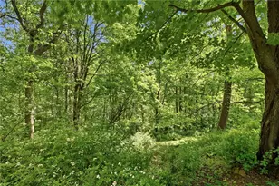 567 E Portersville Rd, Muddy Creek Township, PA 16051 - Photo 31