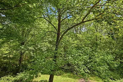 567 E Portersville Rd, Muddy Creek Township, PA 16051 - Photo 35