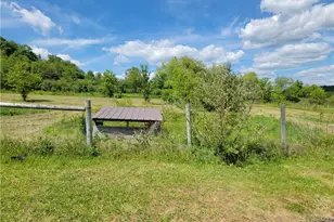 3269 Pine Run Rd, Mayport, PA 15730 - Photo 21